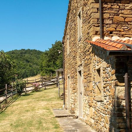 Agriturismo Con Piscina In Toscana, Tribbiano Arezzo Exterior photo
