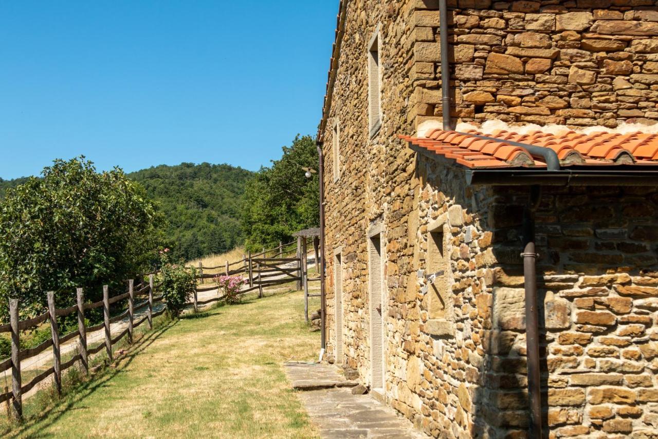 Agriturismo Con Piscina In Toscana, Tribbiano Arezzo Exterior photo