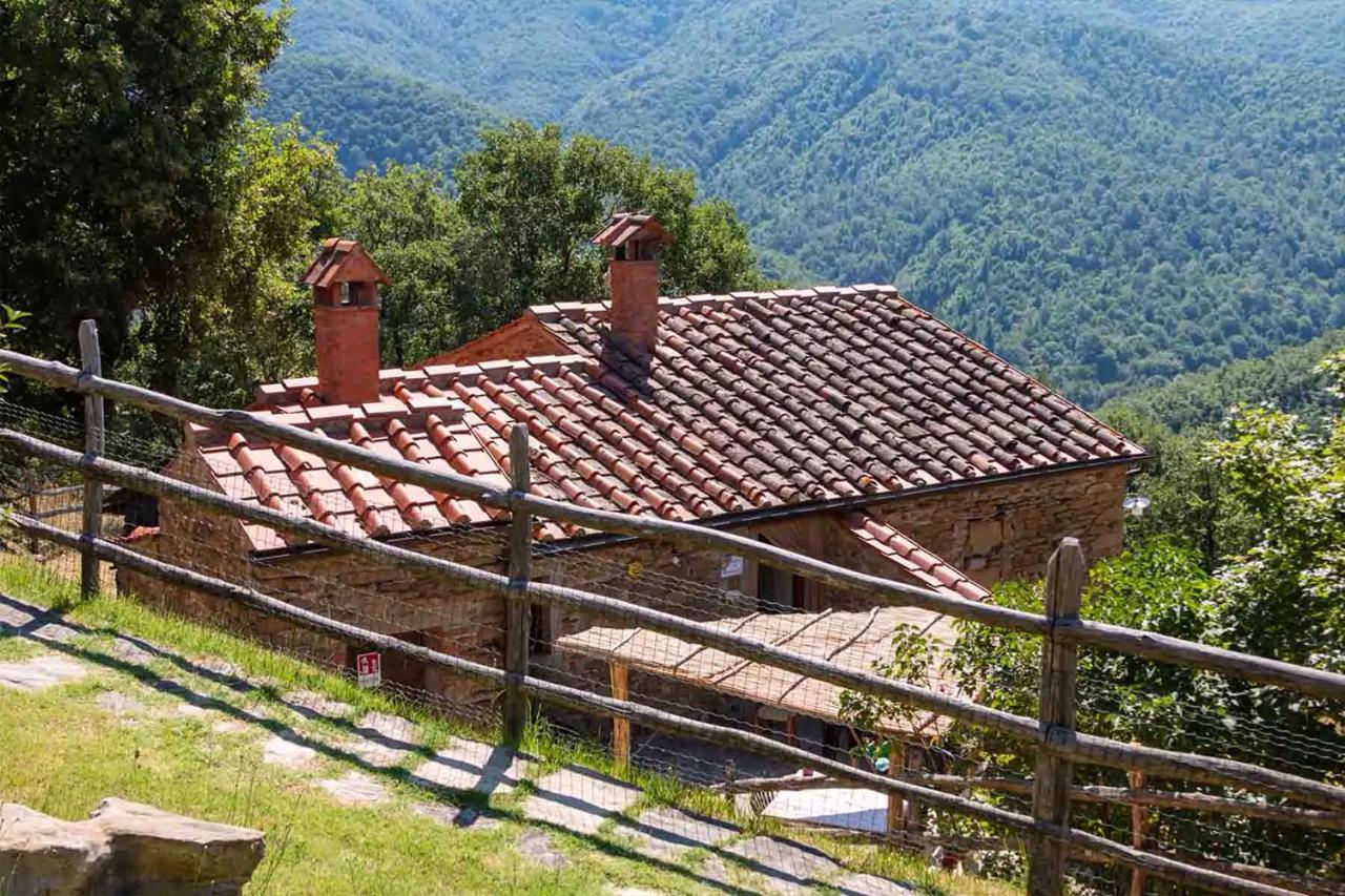 Agriturismo Con Piscina In Toscana, Tribbiano Arezzo Exterior photo